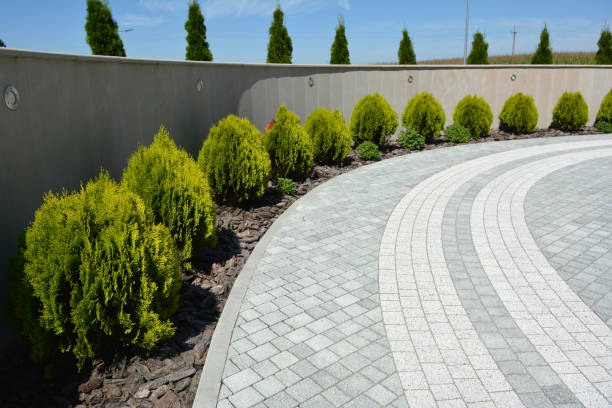 Best Custom Driveway Pavers  in Osseo, WI