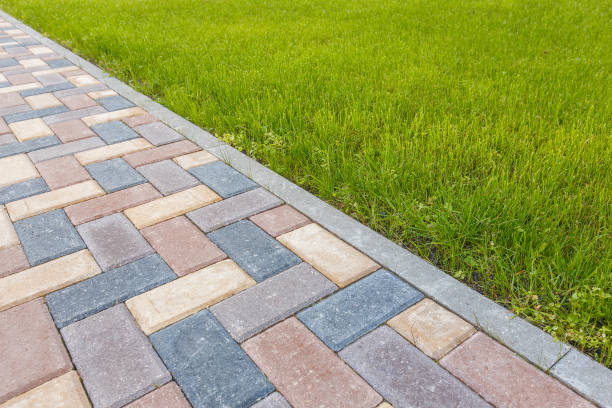 Best Driveway Paving Company  in Osseo, WI